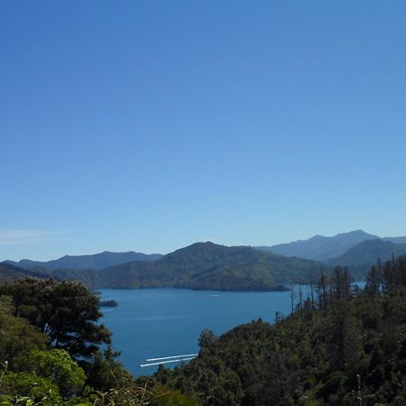 Sequoia Lodge Backpackers Picton Eksteriør billede