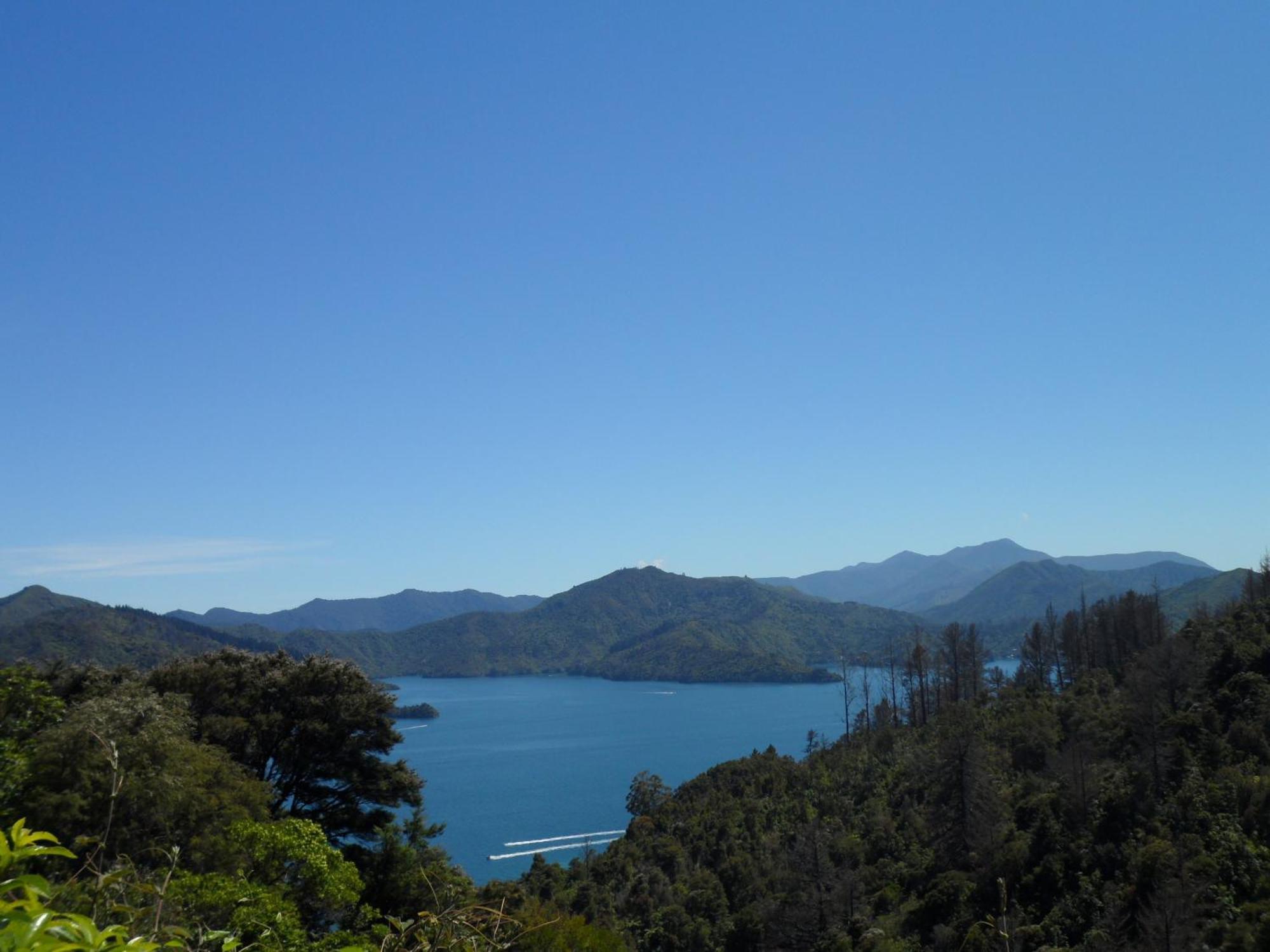 Sequoia Lodge Backpackers Picton Eksteriør billede